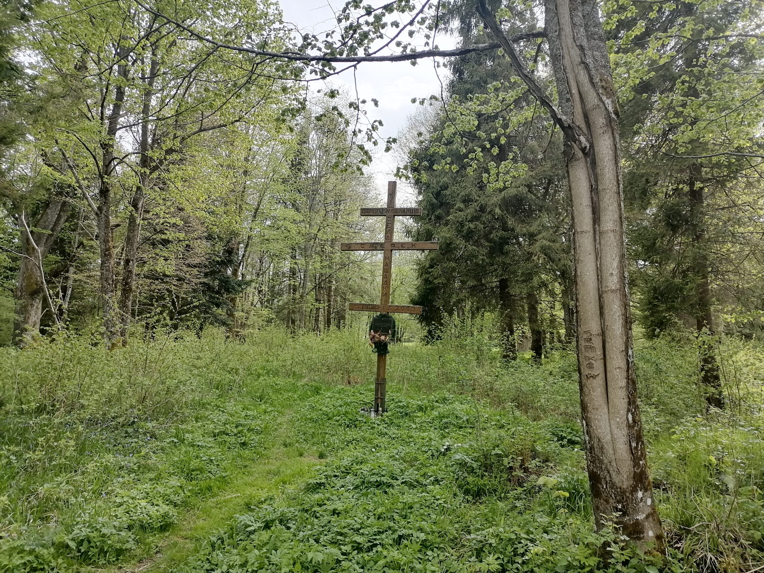 187955397_308024064231732_3876840387634587797_n