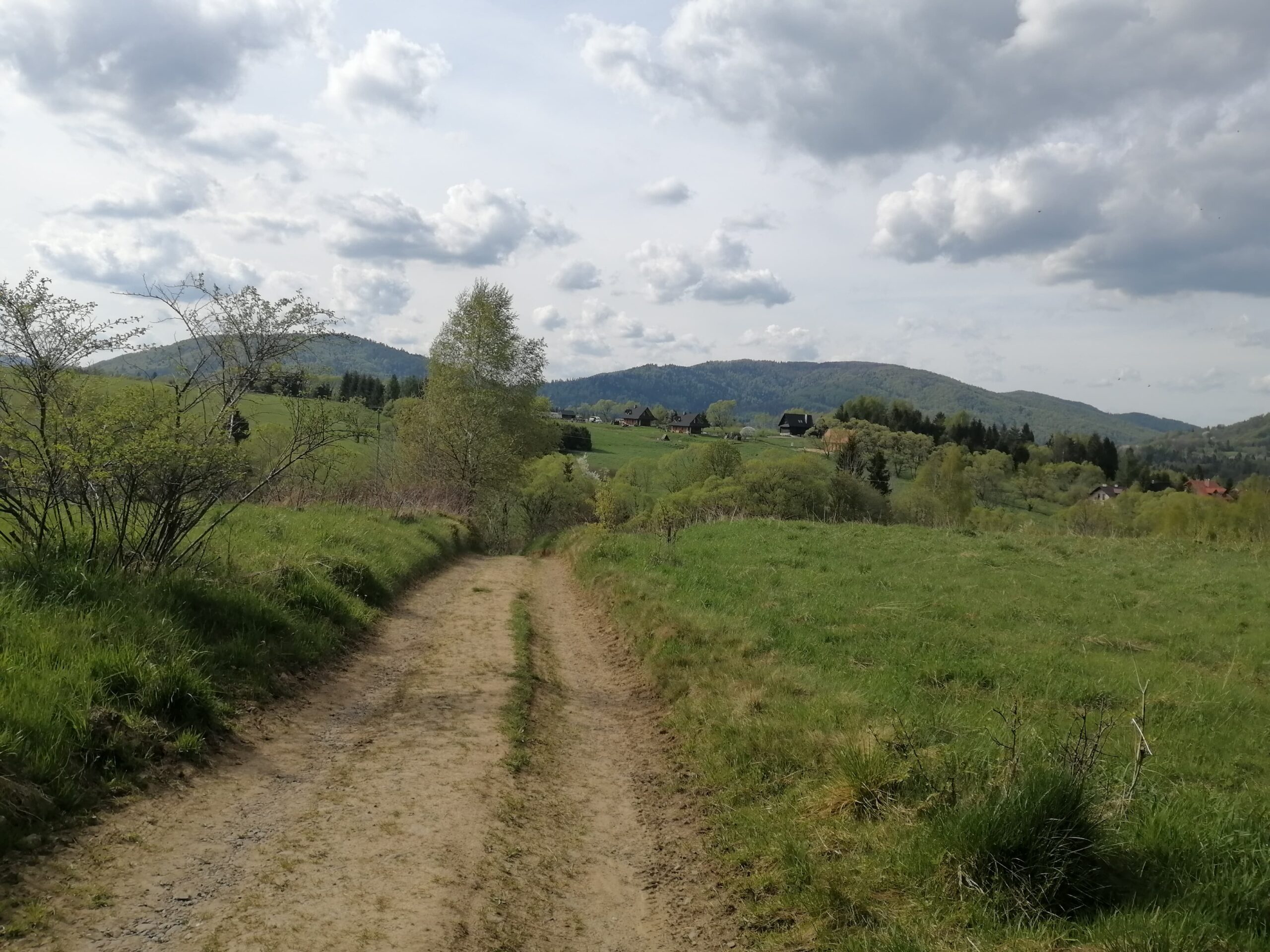 188084264_1750639121781995_7021626214435010209_n