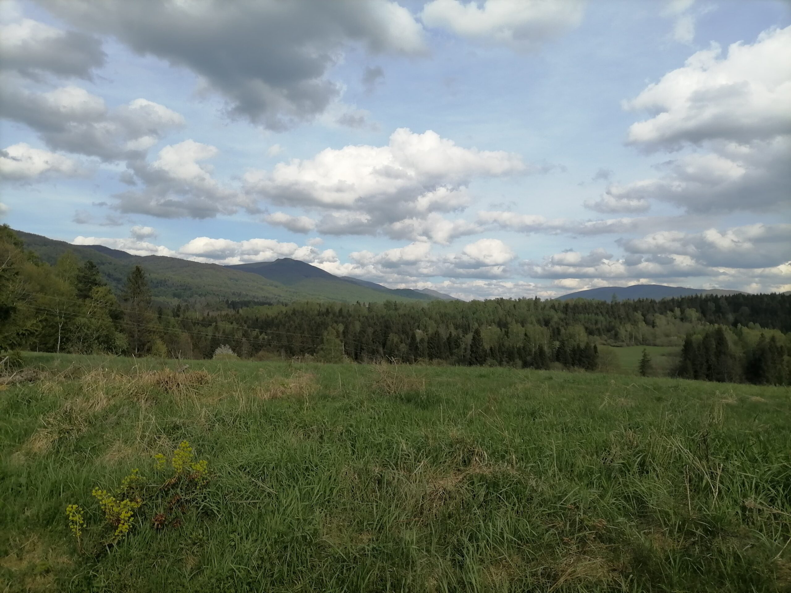 188104080_746081639359150_2279017442965210004_n