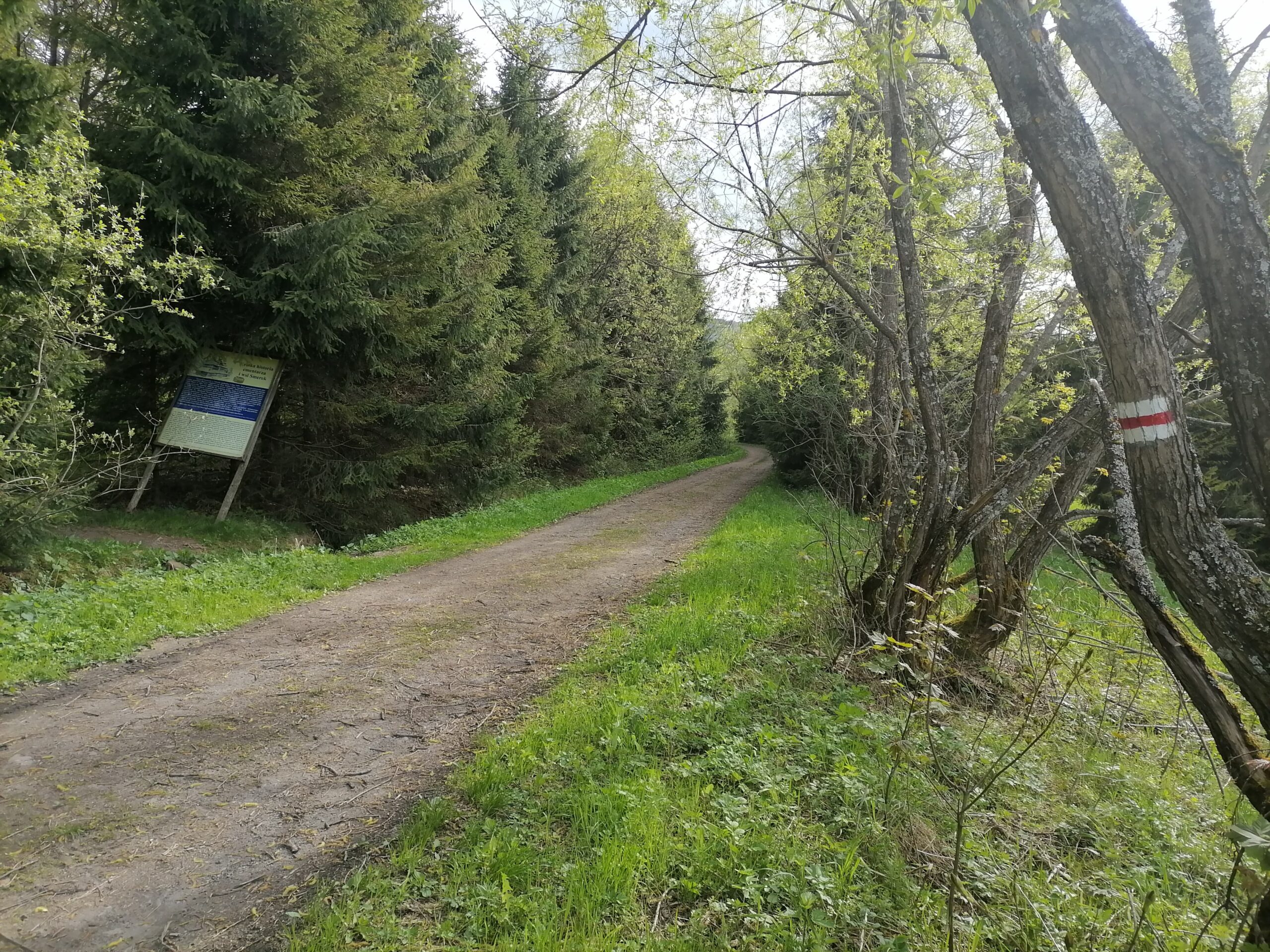 188116047_1015011499268164_5511100732028048596_n