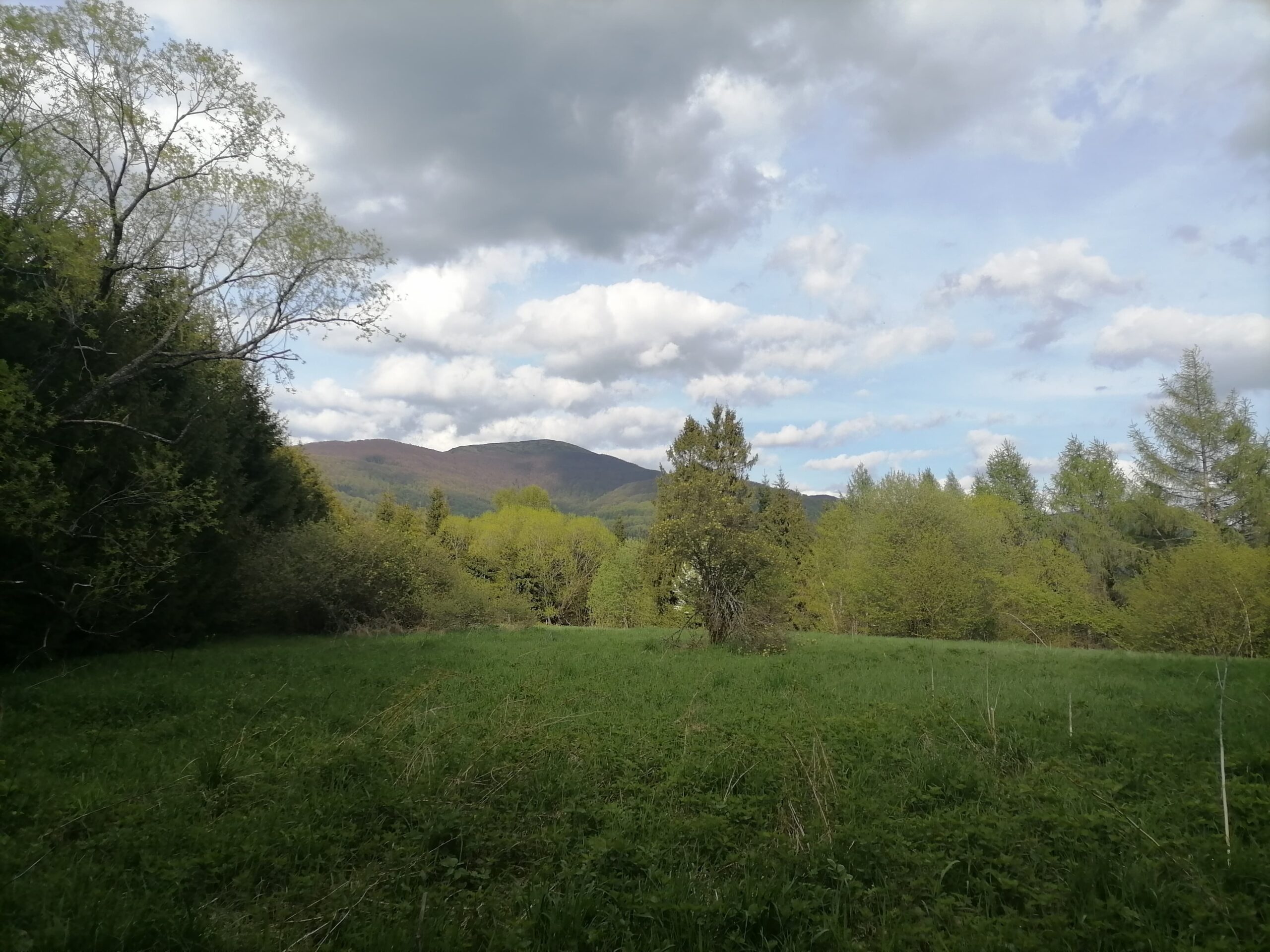 188413243_1232213897235997_2791355101732343478_n