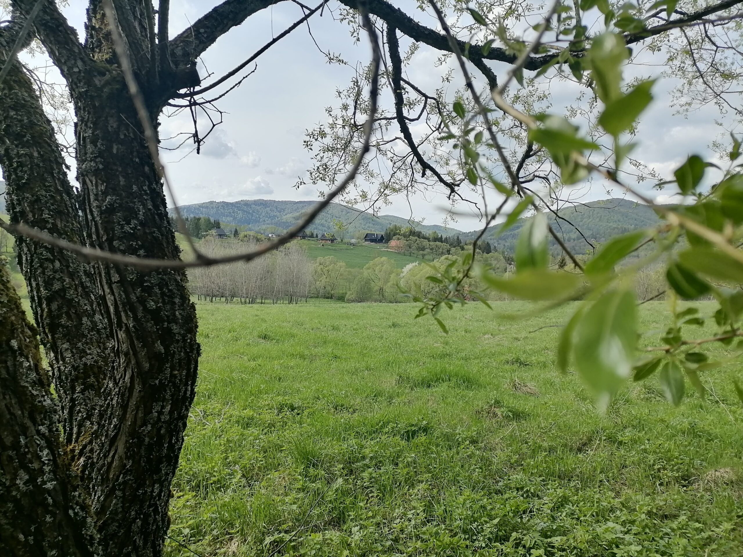 188539467_333621898420966_356155398469014819_n