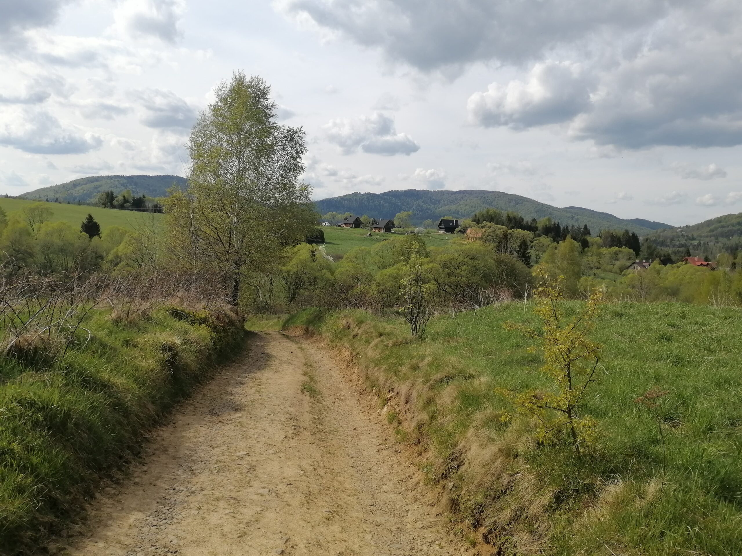 188546179_2891983197731244_7344436172323688076_n