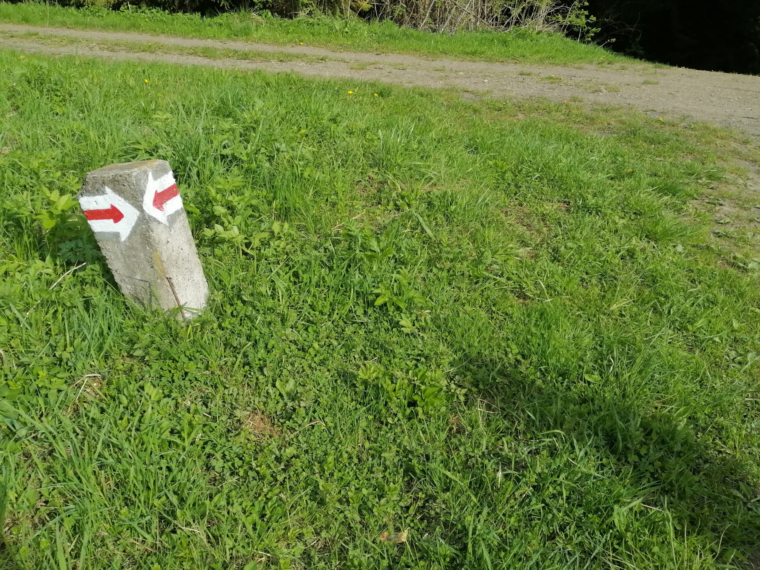 188752806_1746864555522168_5135820081848759212_n