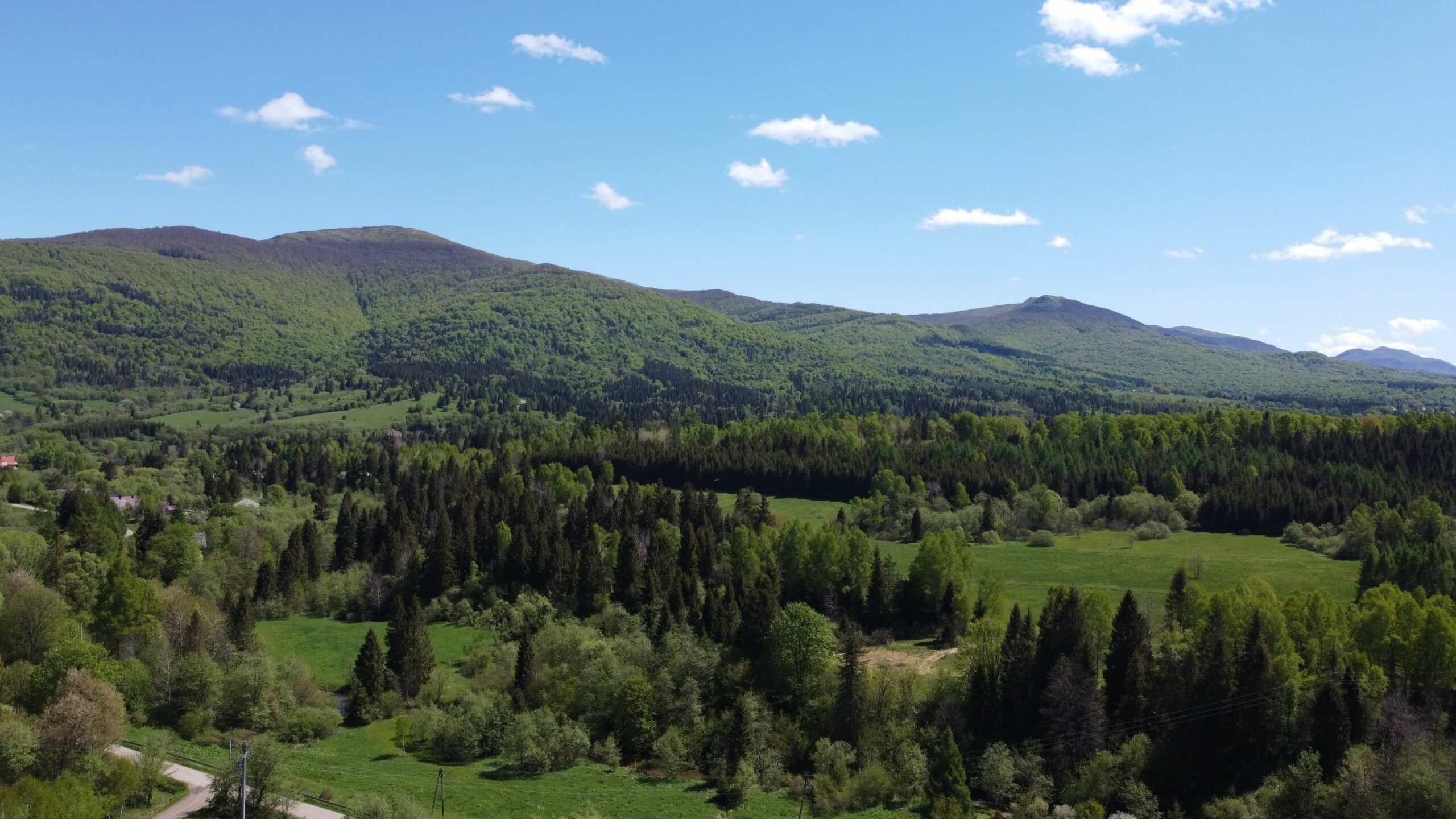 krajobraz bieszczady domarka smerek
