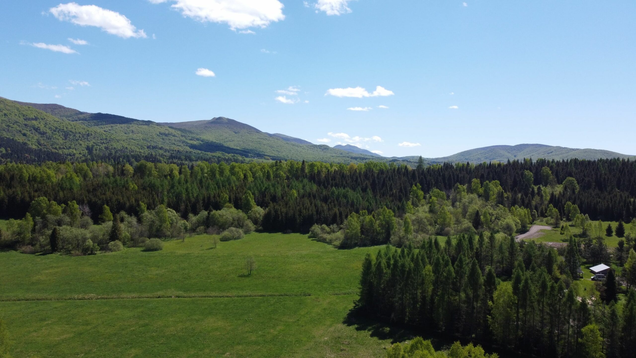 krajobraz bieszczady domarka smerek widok na gory